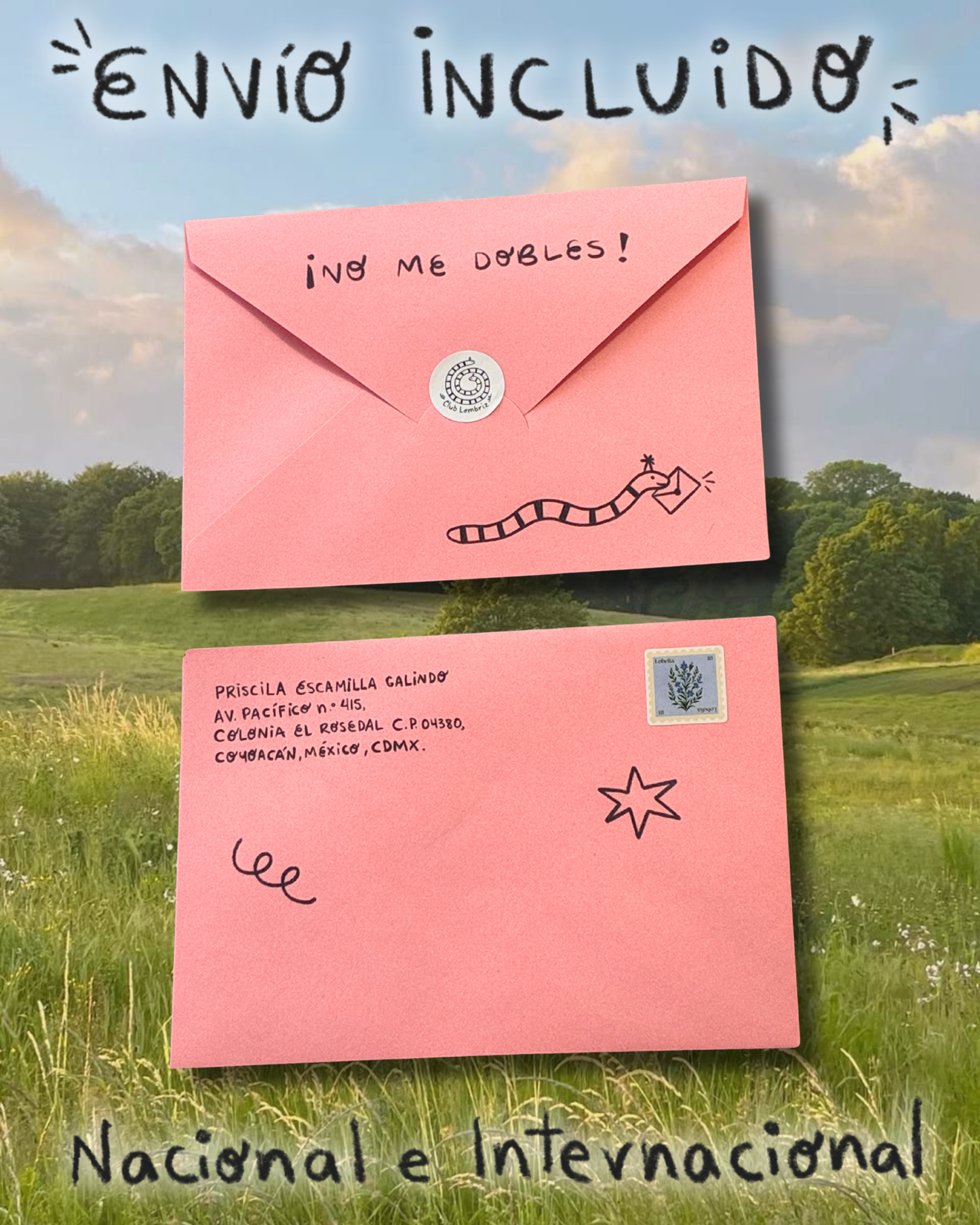 Club Lombriz - Suscripción Mensual ⋆˚꩜｡