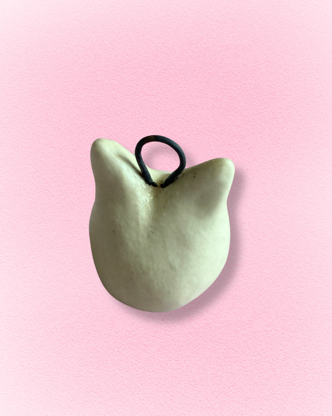Charm gatito