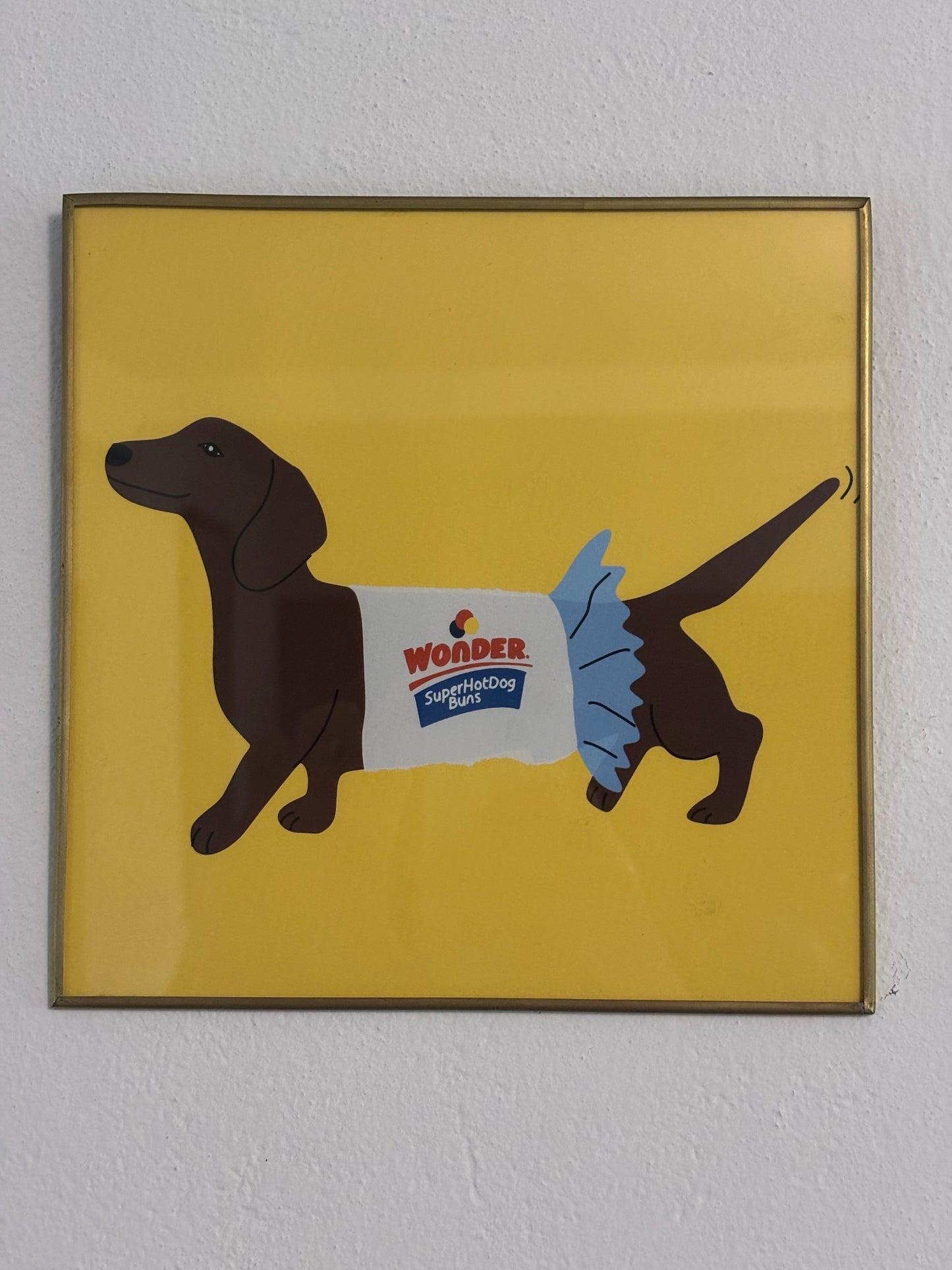 Cuadro Perrito Salchicha 20 x 20 cm